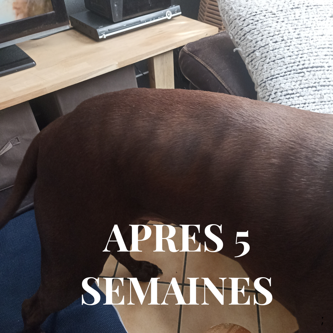 Sérum Anti-Alopécie BotanyPure™