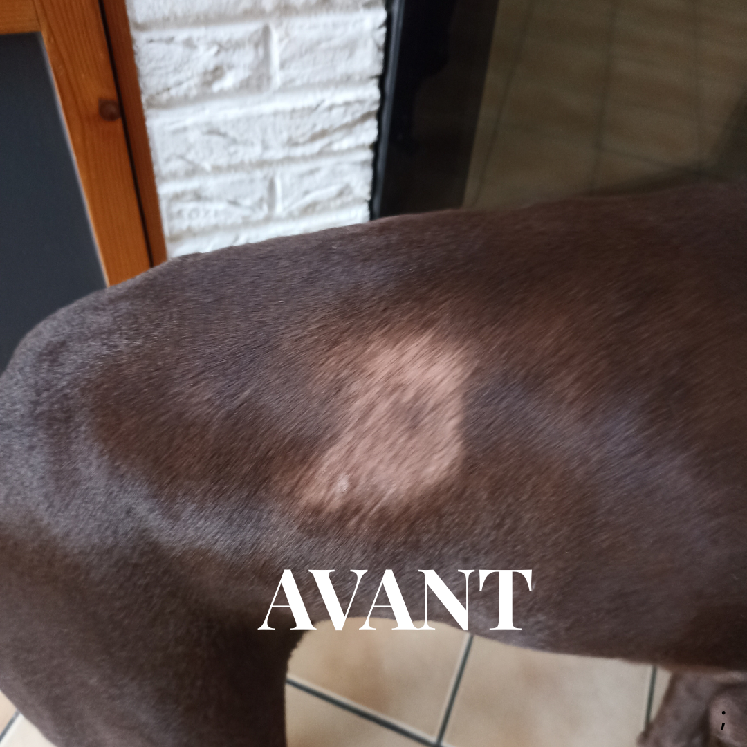 Sérum Anti-Alopécie BotanyPure™