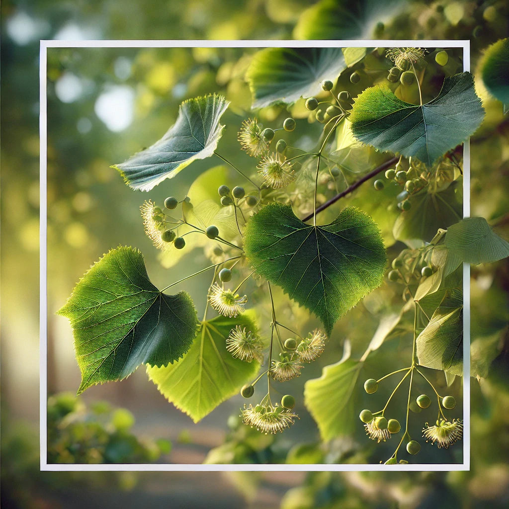 POLLENIS™ – Soin des yeux du lapin