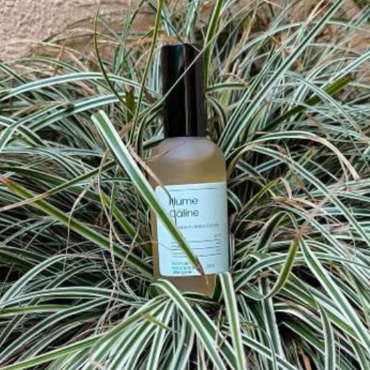 PLUME CÂLINE LAPIN - Brume Anti-Stress Cutané pour Lapins Sensibles