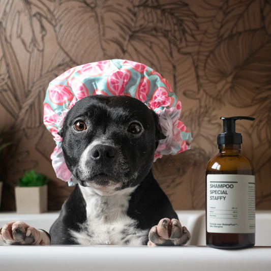 Shampoing naturel pour chien – Botany Dog