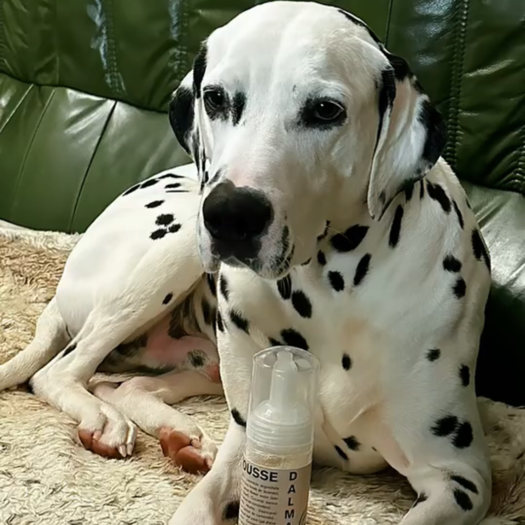 🫧 Botany Mousse™ Dalmatien