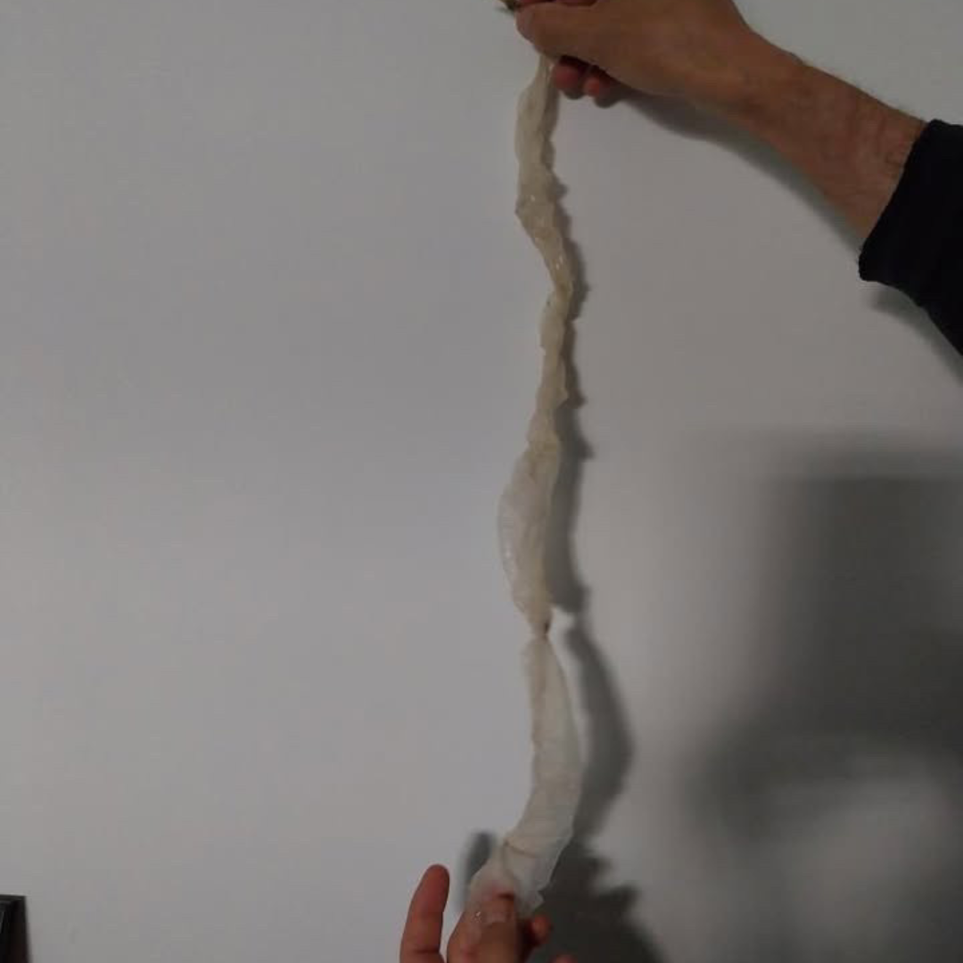Facilite la Mue des Serpents _ Spray Naturel μPython