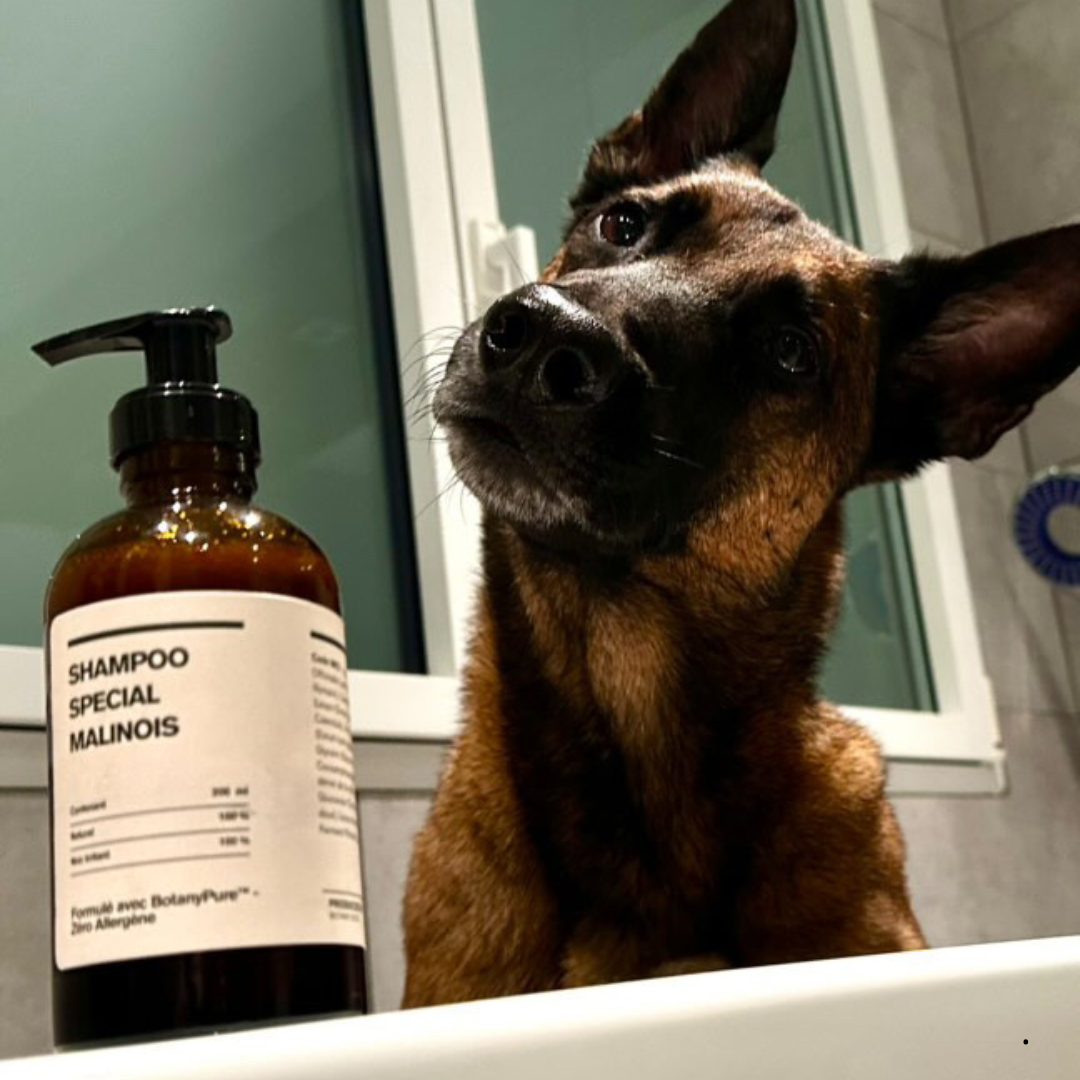 Shampoing Spécial Malinois